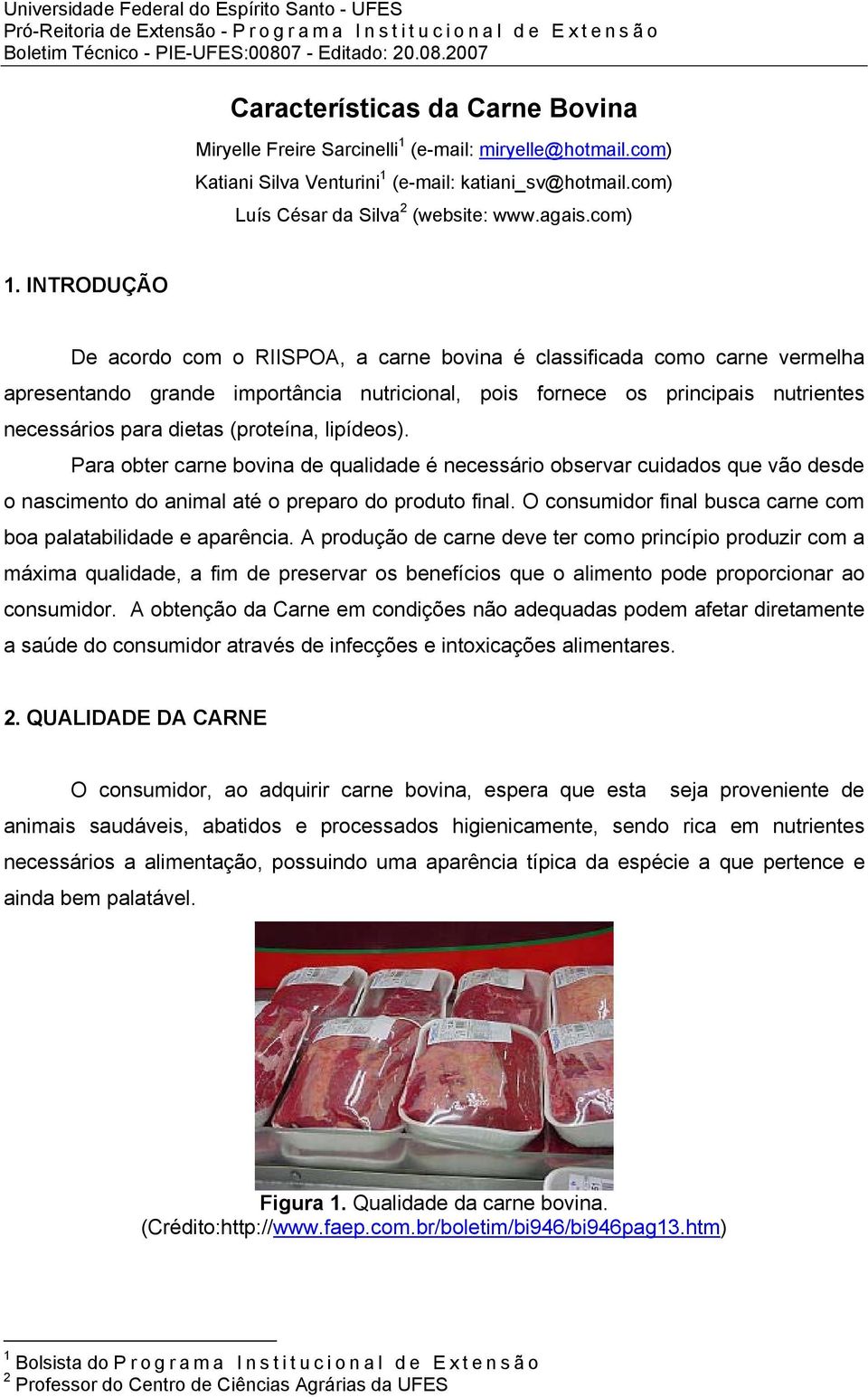 (proteína, lipídeos). Para obter carne bovina de qualidade é necessário observar cuidados que vão desde o nascimento do animal até o preparo do produto final.