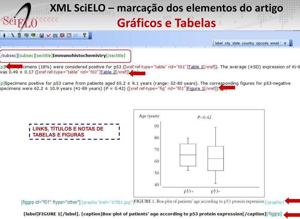 Gráficos e Tabelas LINKS,