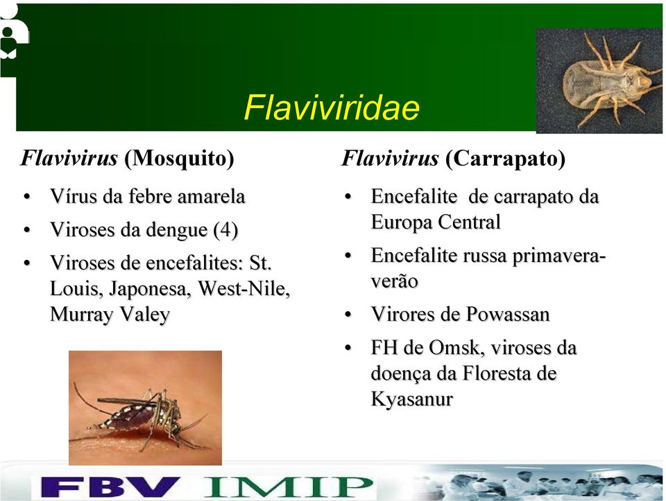 Louis, Japonesa, West-Nile, Murray Valey Flavivirus (Carrapato) Encefalite de