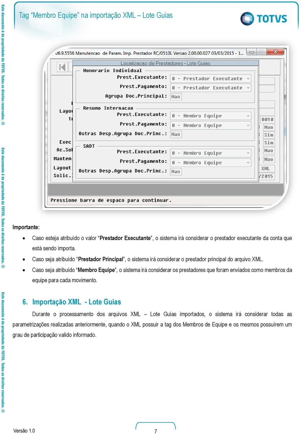 Caso seja atribuído Membro Equipe, o sistema irá considerar os prestadores que foram enviados como membros da equipe para cada movimento. 6.