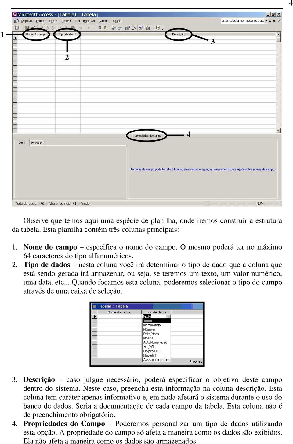 Tipo de dados nesta coluna você irá determinar o tipo de dado que a coluna que está sendo gerada irá armazenar, ou seja, se teremos um texto, um valor numérico, uma data, etc.