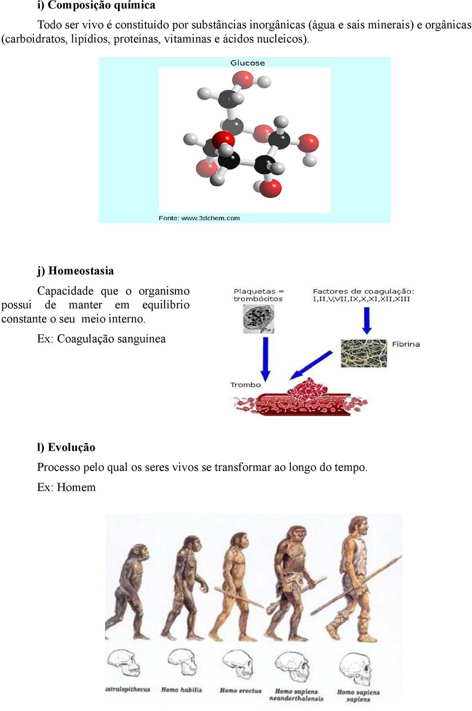 j) Homeostasia Capacidade que o organismo possui de manter em equilíbrio constante o seu meio