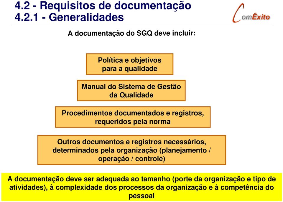 documentos e registros necessários, determinados pela organização (planejamento / operação / controle) A documentação deve