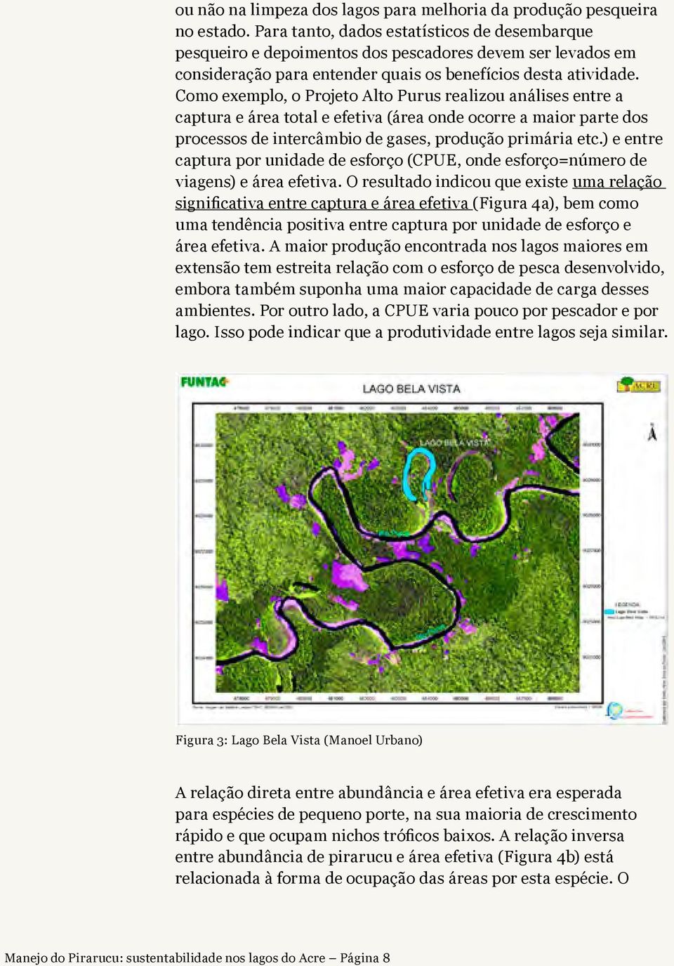 Como exemplo, o Projeto Alto Purus realizou análises entre a captura e área total e efetiva (área onde ocorre a maior parte dos processos de intercâmbio de gases, produção primária etc.