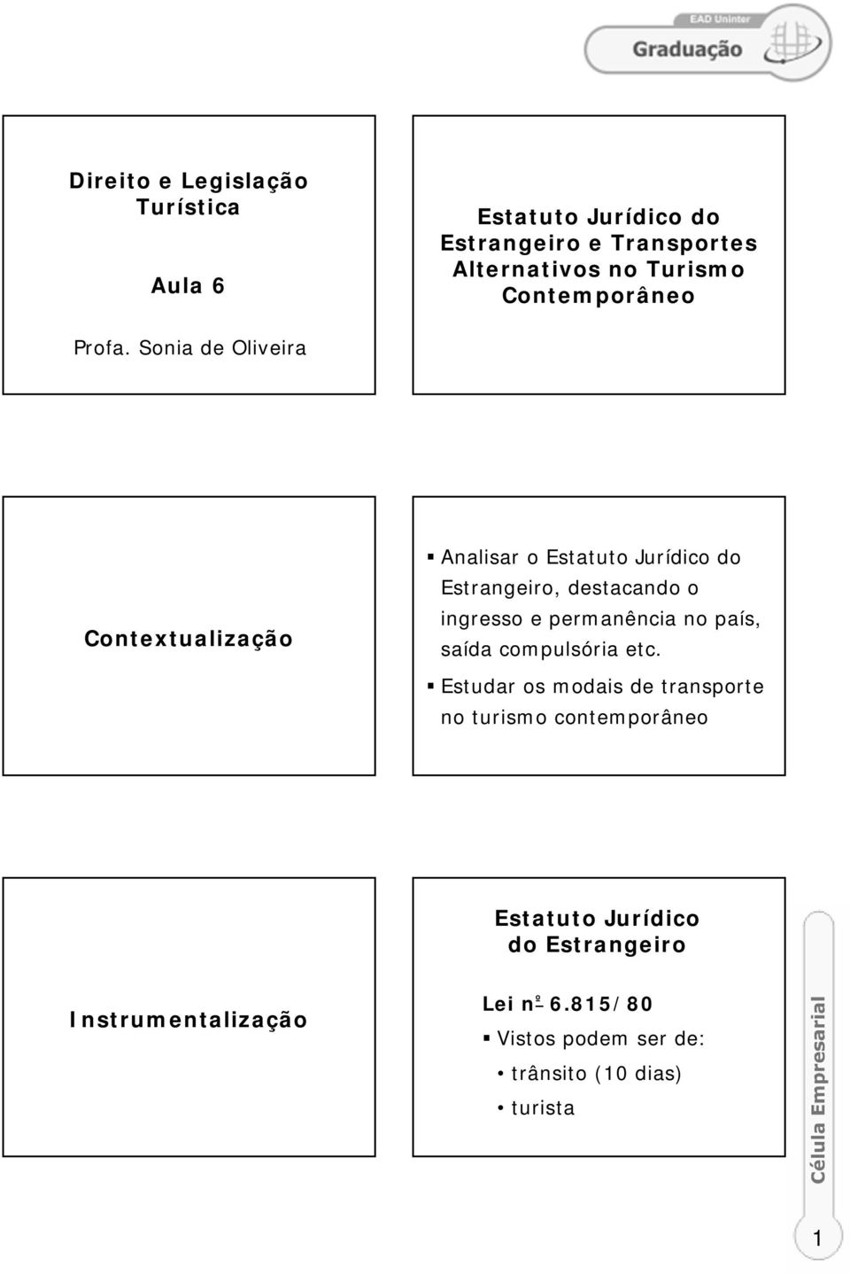 Sonia de Oliveira Contextualização Analisar o Estatuto Jurídico do Estrangeiro, destacando o ingresso e