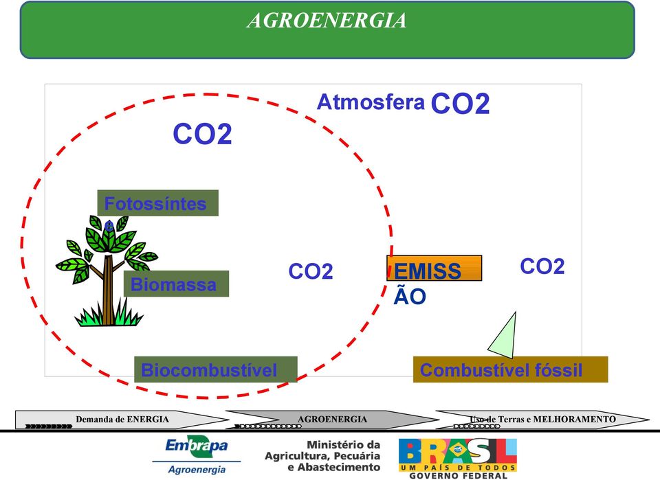 CO2 Biocombustível