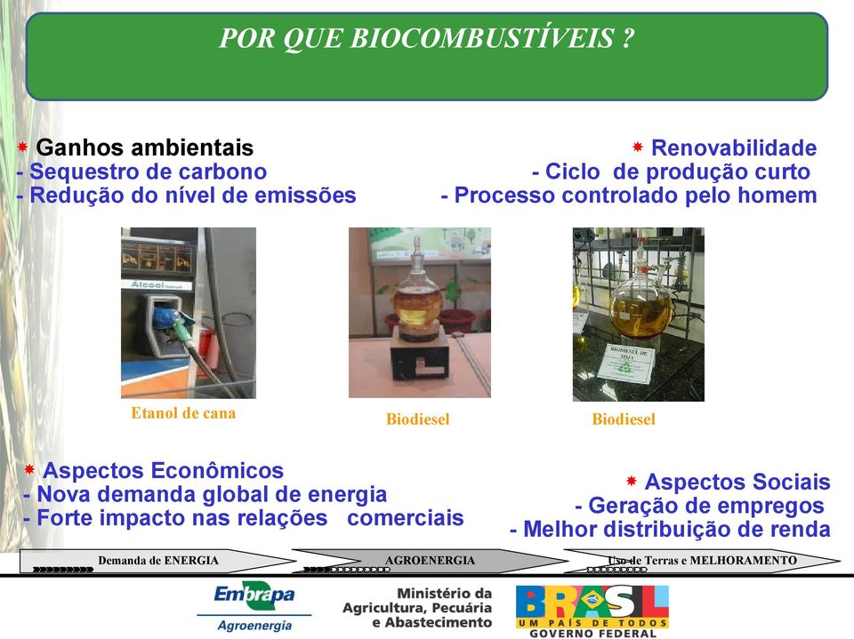 Renovabilidade - Ciclo de produção curto - Processo controlado pelo homem Biodiesel