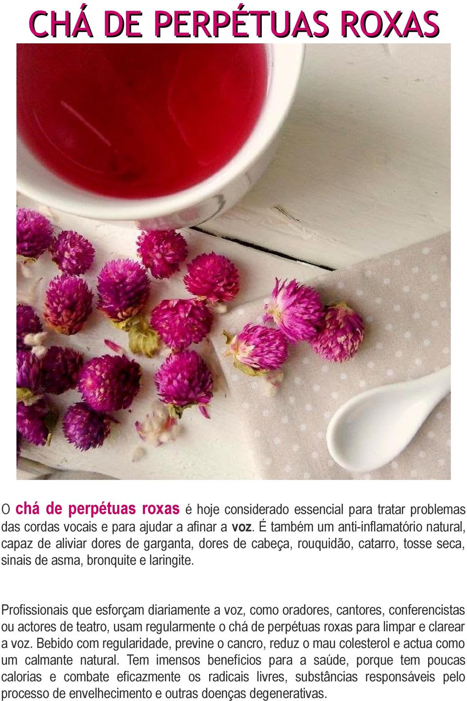 Profissionais que esforçam diariamente a voz, como oradores, cantores, conferencistas ou actores de teatro, usam regularmente o chá de perpétuas roxas para limpar e clarear a voz.