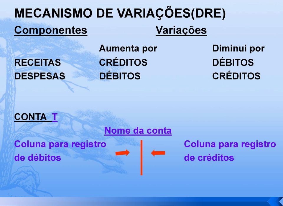 DESPESAS DÉBITOS CRÉDITOS CONTA T Nome da conta