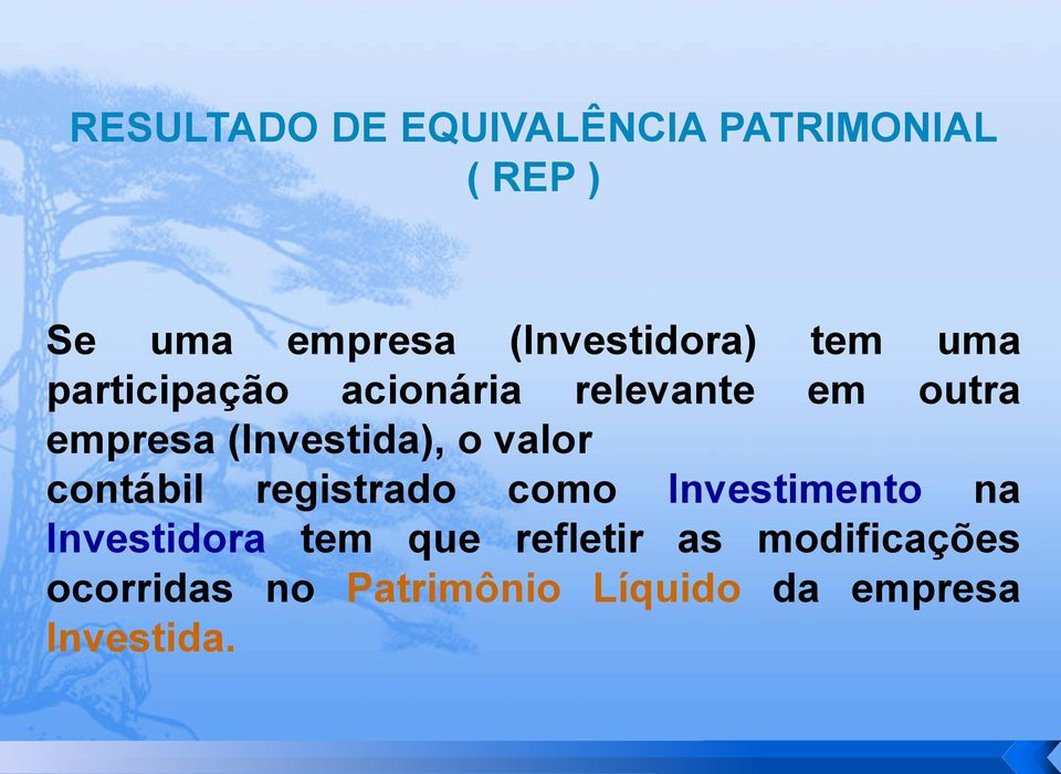 (Investida), o valor contábil registrado como Investimento na Investidora