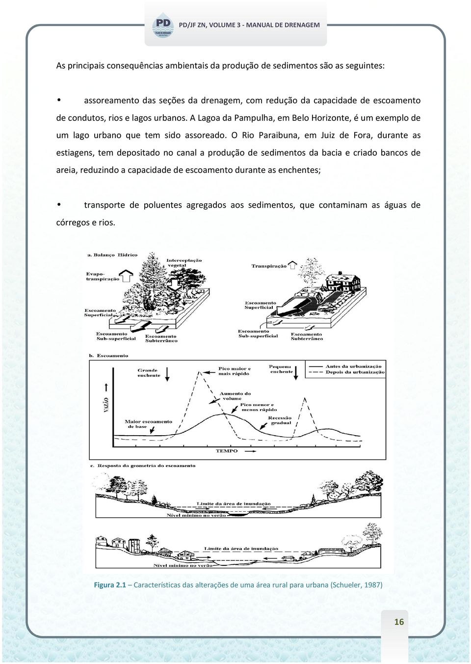 O Rio Paraibuna, em Juiz de Fora, durante as estiagens, tem depositado no canal a produção de sedimentos da bacia e criado bancos de areia, reduzindo a capacidade de