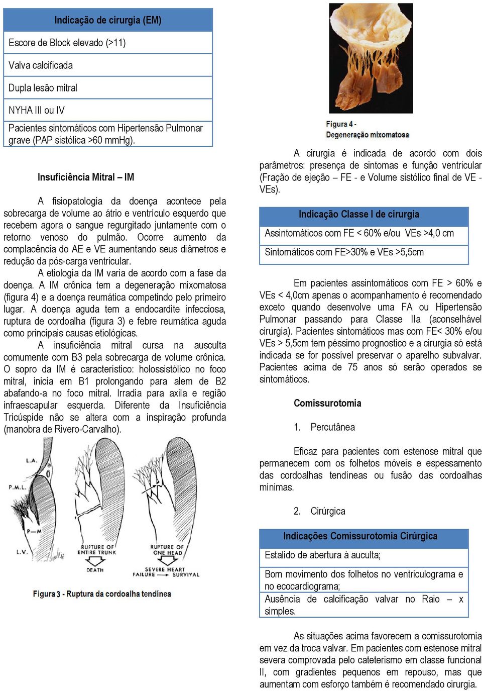 Ocorre aumento da complacência do AE e VE aumentando seus diâmetros e redução da pós-carga ventricular. A etiologia da IM varia de acordo com a fase da doença.