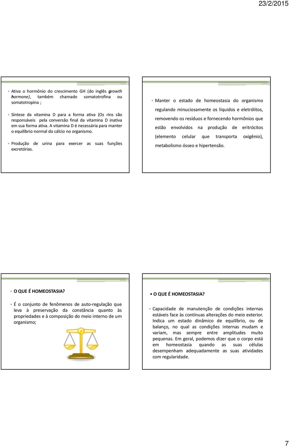 Manter o estado de homeostasia do organismo regulando minuciosamente os líquidos e eletrólitos, removendo os resíduos e fornecendo hormônios que estão envolvidos na produção de eritrócitos (elemento