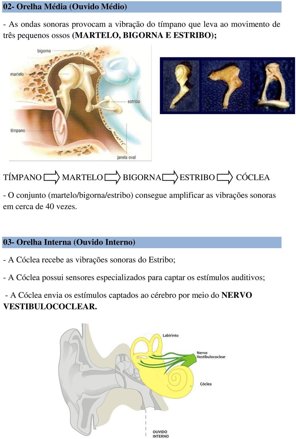 sonoras em cerca de 40 vezes.