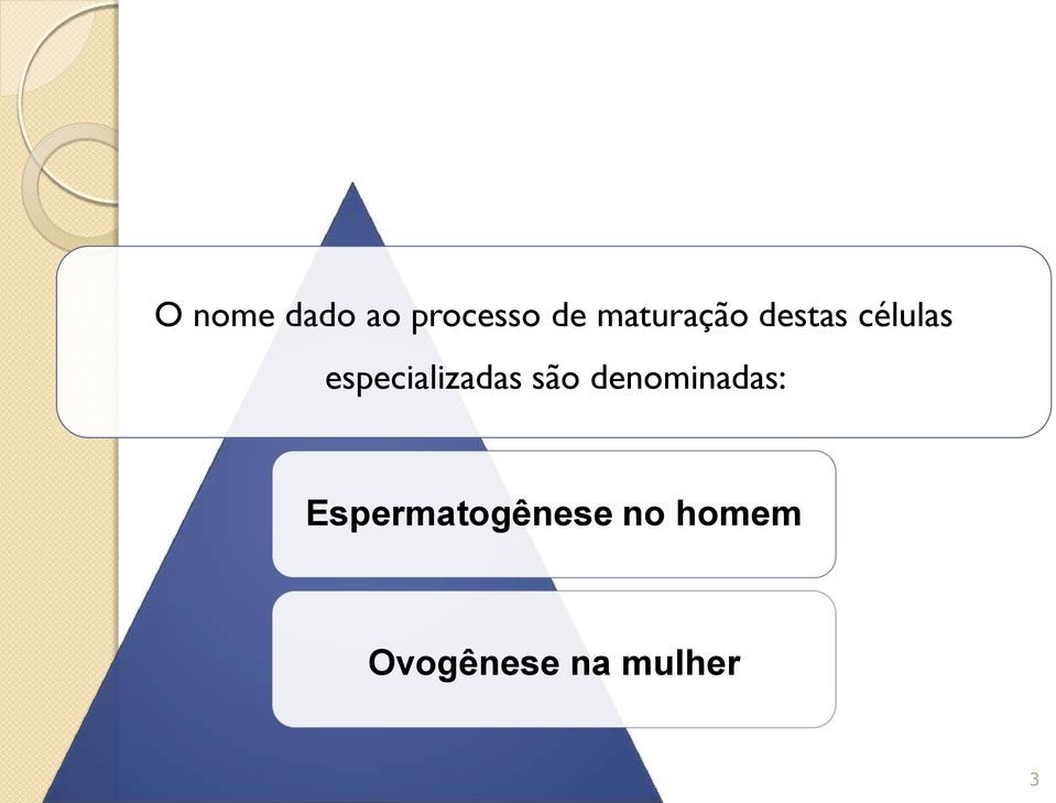 especializadas são denominadas: