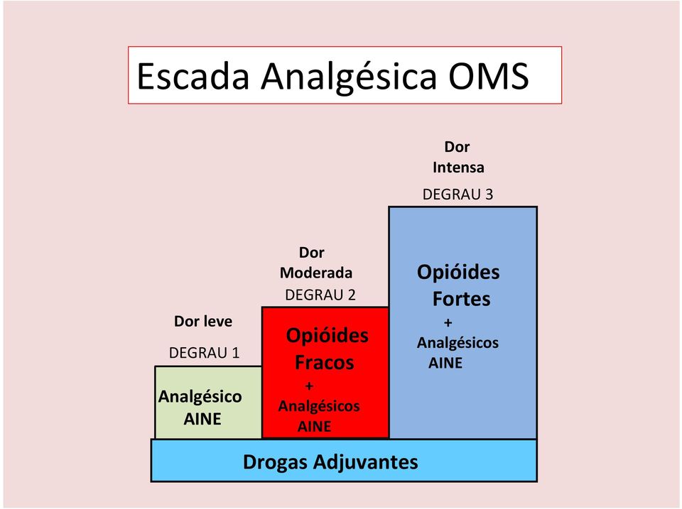 DEGRAU 2 Opióides Fracos + Analgésicos AINE