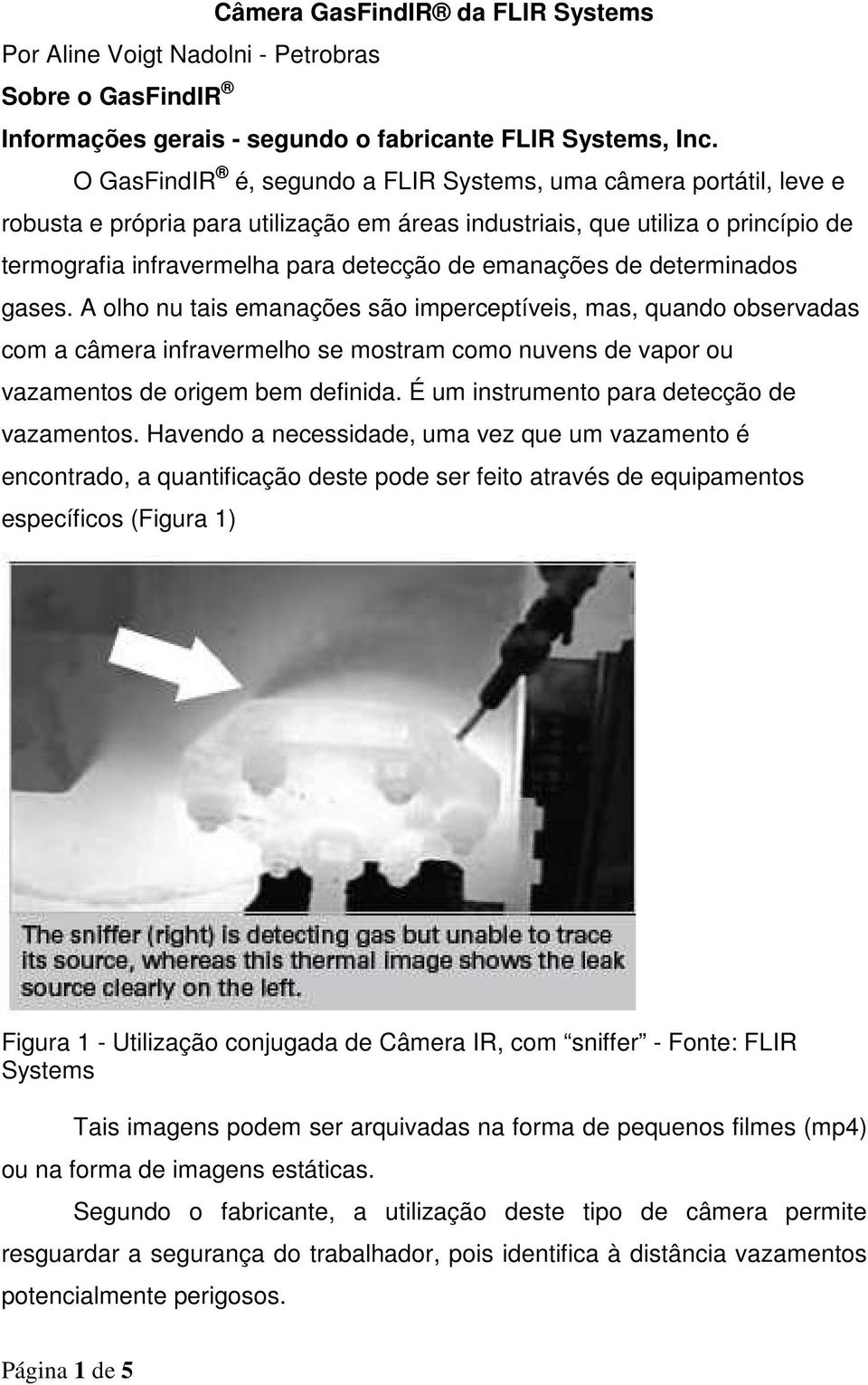 emanações de determinados gases. A olho nu tais emanações são imperceptíveis, mas, quando observadas com a câmera infravermelho se mostram como nuvens de vapor ou vazamentos de origem bem definida.