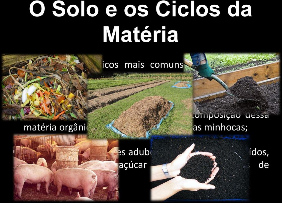 de húmus, dá-se pela decomposição dessa matéria orgânica, o que é acelerado pelas minhocas; Também são