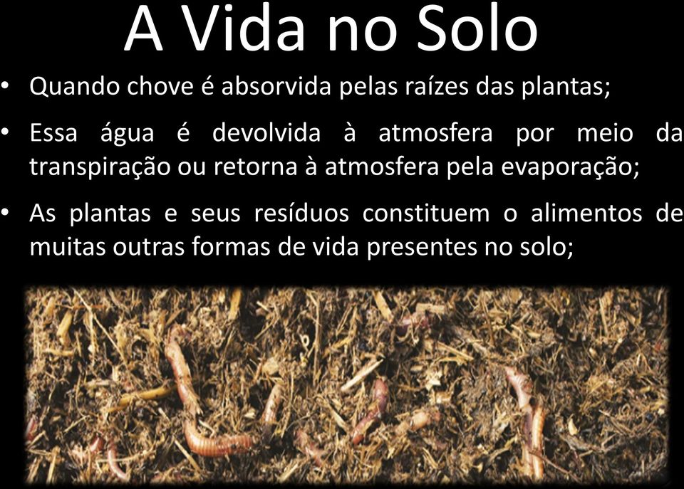 retorna à atmosfera pela evaporação; As plantas e seus resíduos