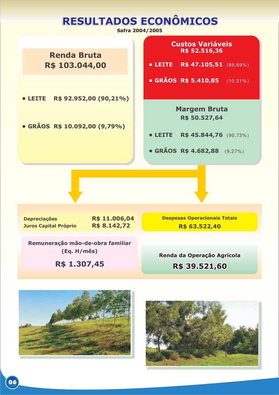 092,00 (9,79%) Margem Bruta R$ 50.527,64 LEITE R$ 45.844,76 (90,73%) GRÃOS R$ 4.