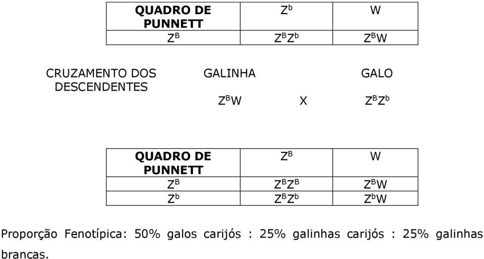 PUNNETT Z B Z B Z B Z B W Z b Z B Z b Z b W Proporção