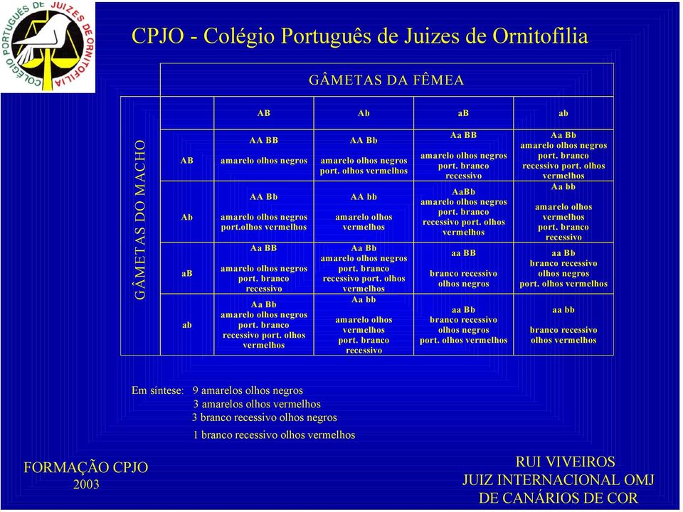 branco recessivo port. olhos vermelhos Aa bb amarelo olhos vermelhos port. branco recessivo Aa BB amarelo olhos negros port. branco recessivo AaBb amarelo olhos negros port. branco recessivo port.