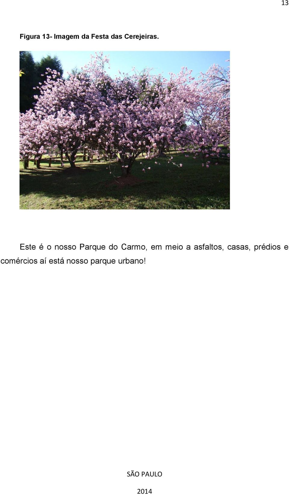 Este é o nosso Parque do Carmo, em