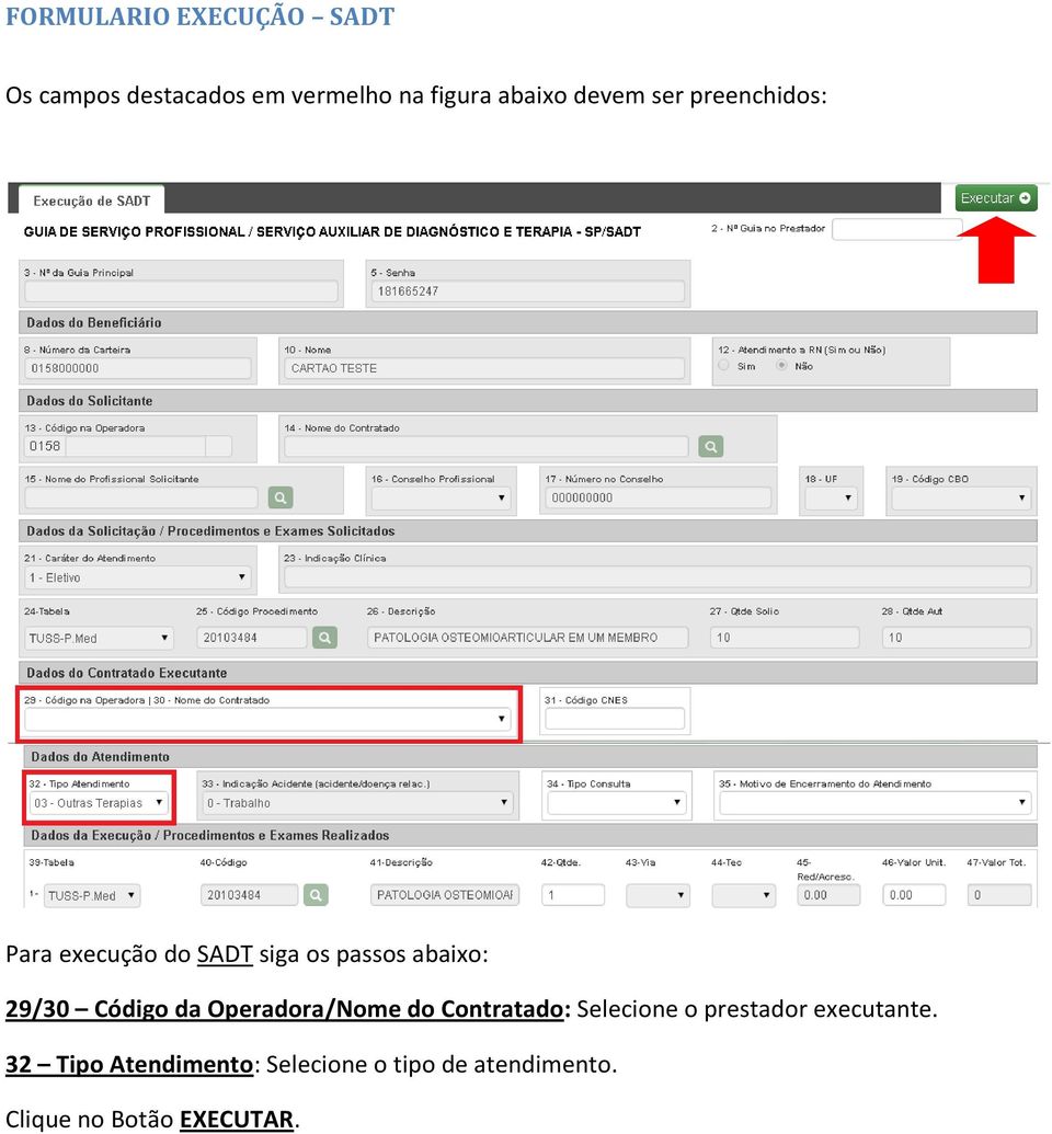 Código da Operadora/Nome do Contratado: Selecione o prestador executante.