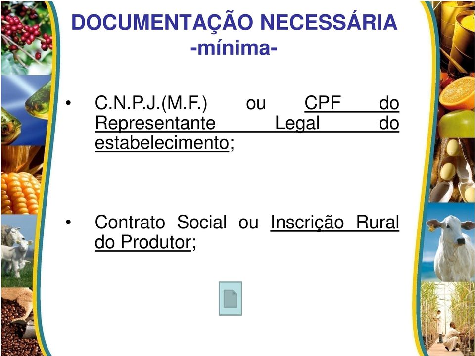 ) ou CPF do Representante Legal do