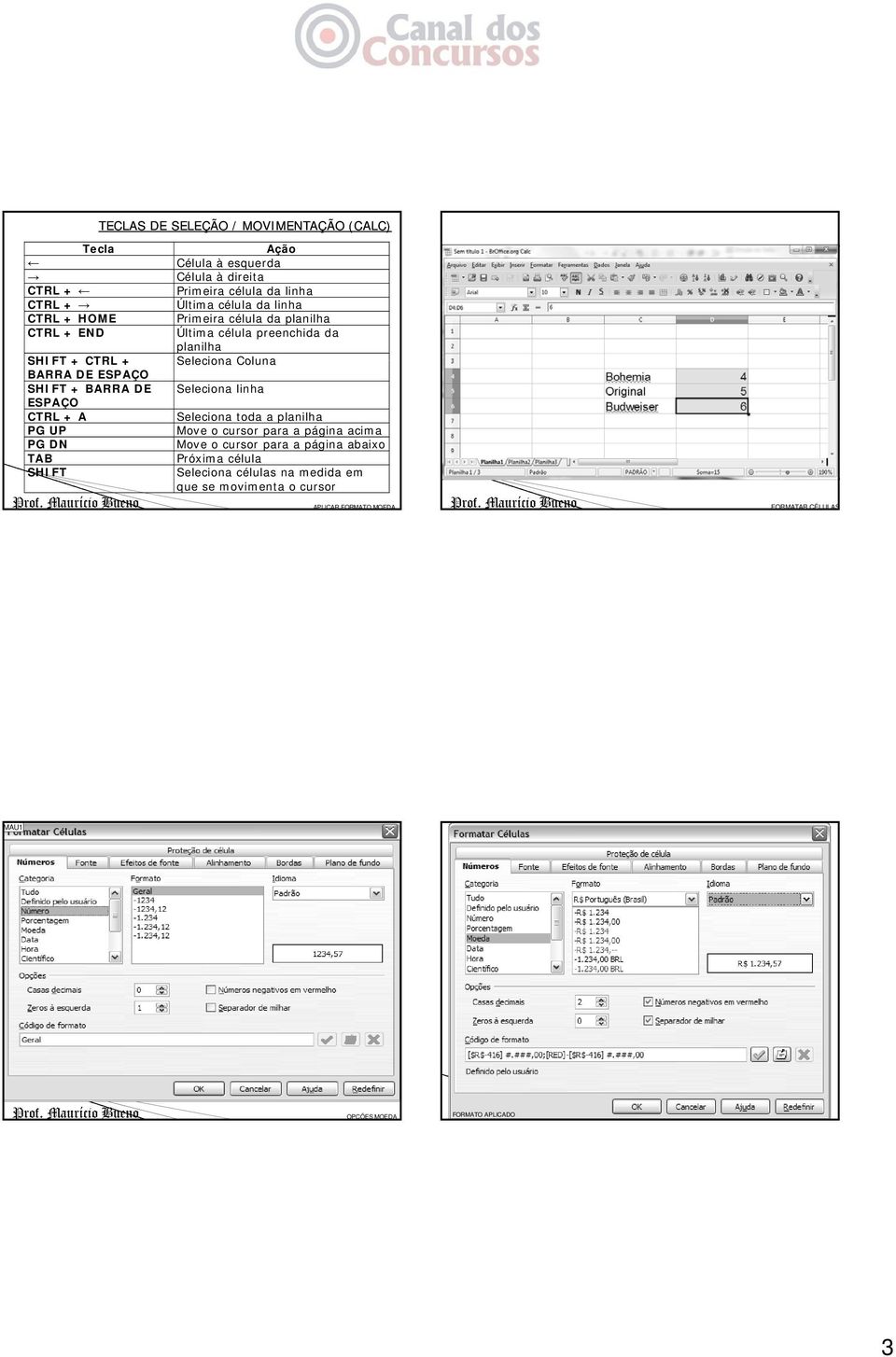 preenchida da planilha Seleciona Coluna Seleciona linha Seleciona toda a planilha Move o cursor para a página acima Move o cursor para a página