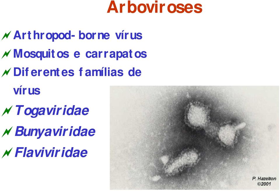 Diferentes famílias de vírus