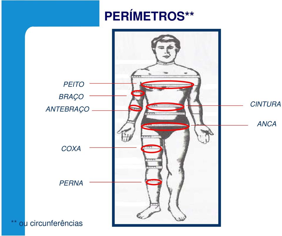 CINTURA ANCA COXA