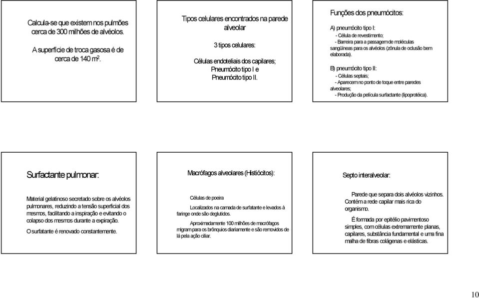 expiração. O surfatante é renovado constantemente. Tipos celulares encontrados na parede alveolar 3 tipos celulares: Células endoteliais dos capilares; Pneumócito tipo I e Pneumócito tipo II.