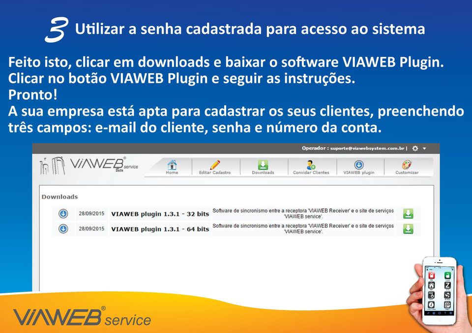 Clicar no botão VIAWEB Plugin e seguir as instruções. Pronto!