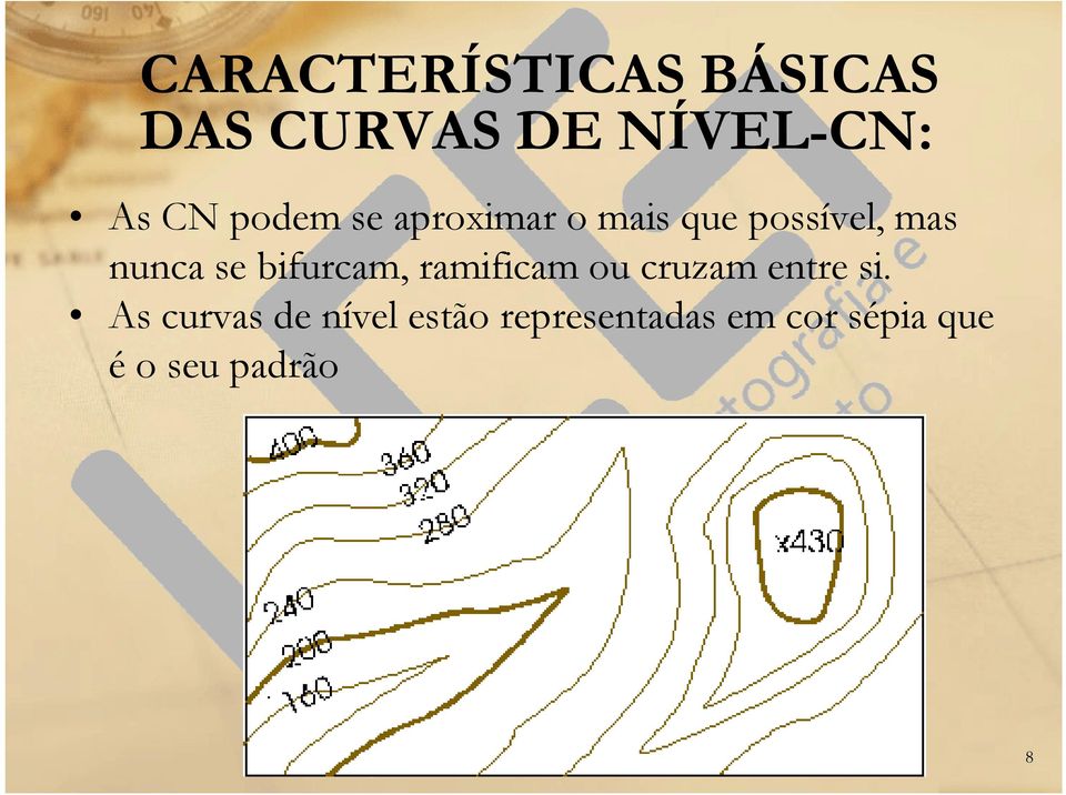 bifurcam, ramificam ou cruzam entre si.