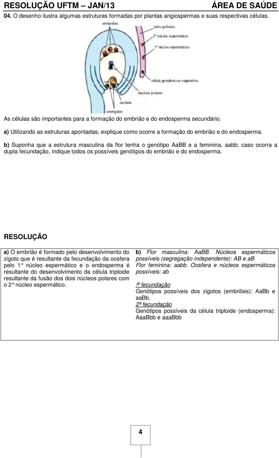 b) Suponha que a estrutura masculina da flor tenha o genótipo AaBB e a feminina, aabb; caso ocorra a dupla fecundação, indique todos os possíveis genótipos do embrião e do endosperma.