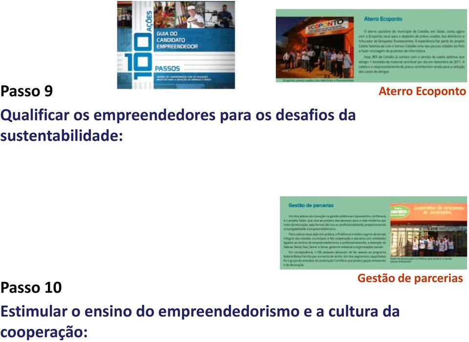 Passo 10 Estimular o ensino do