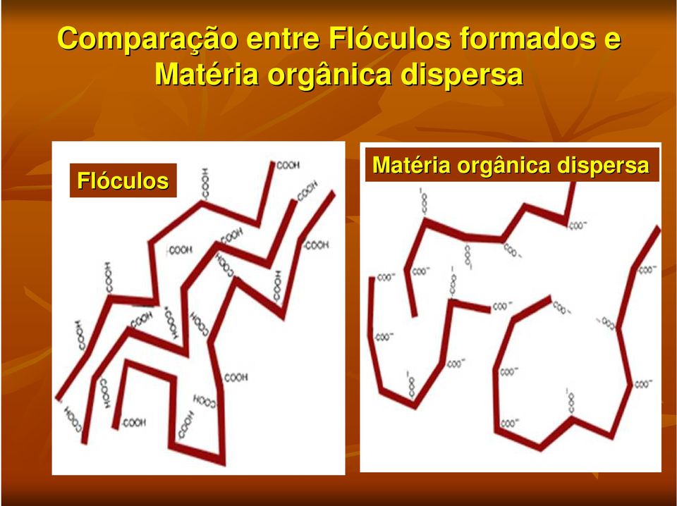 Matéria orgânica