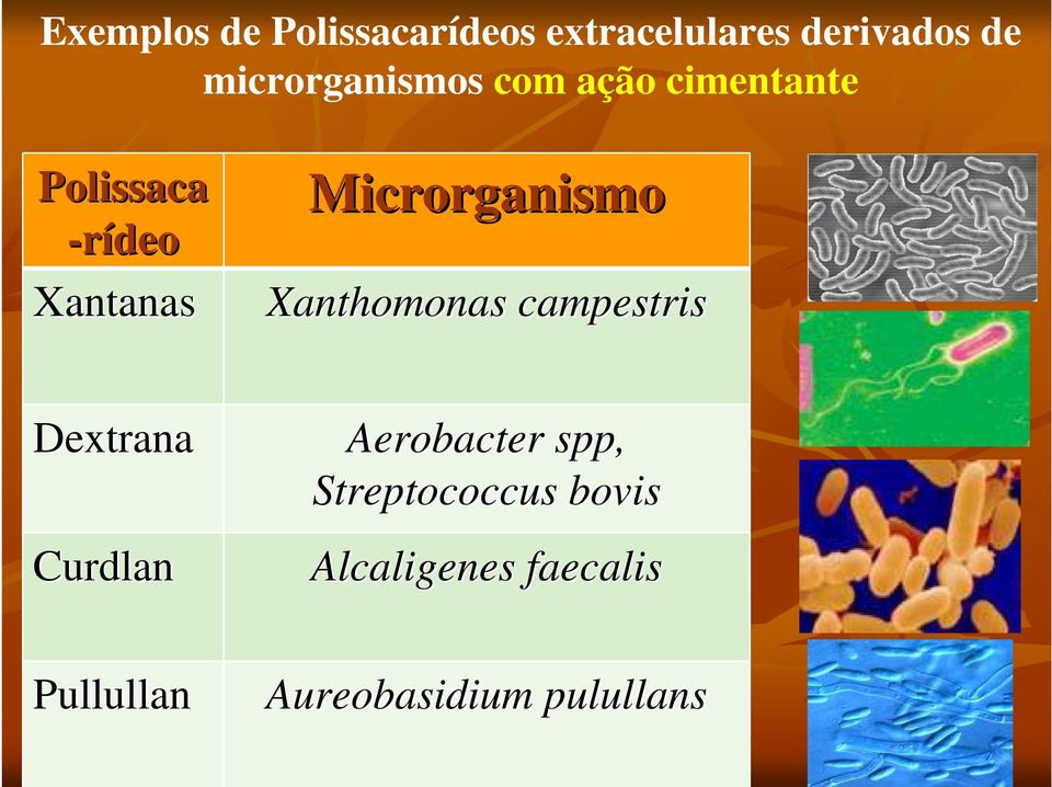 Microrganismo Xanthomonas campestris Dextrana Curdlan Aerobacter