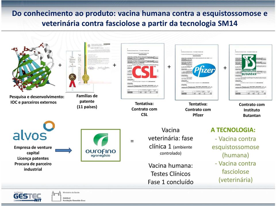 Instituto Butantan Empresa de venture capital Licença patentes Procura de parceiro industrial = Vacina veterinária: fase clínica 1 (ambiente