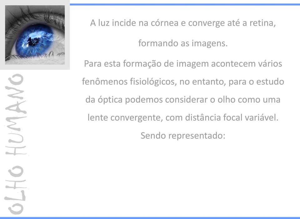 no entanto, para o estudo da óptica podemos considerar o olho como