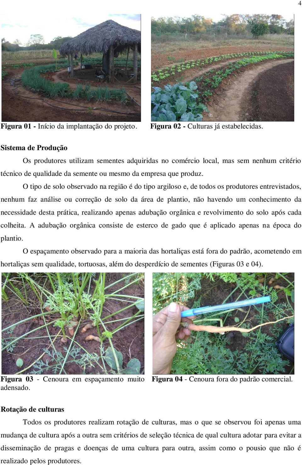 O tipo de solo observado na região é do tipo argiloso e, de todos os produtores entrevistados, nenhum faz análise ou correção de solo da área de plantio, não havendo um conhecimento da necessidade