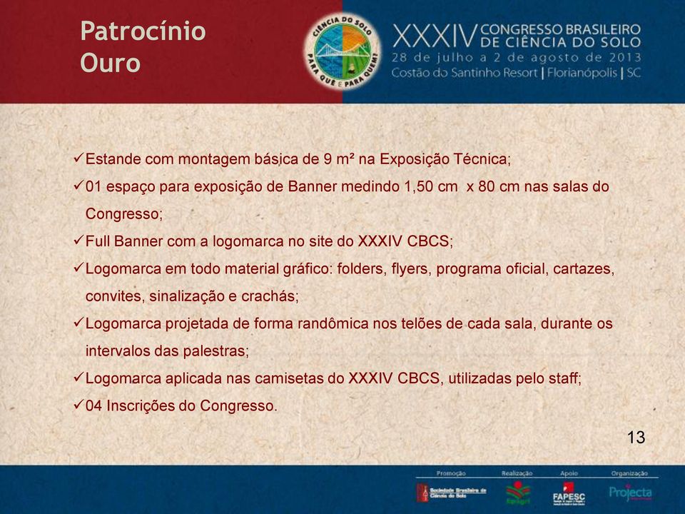 programa oficial, cartazes, convites, sinalização e crachás; Logomarca projetada de forma randômica nos telões de cada sala,