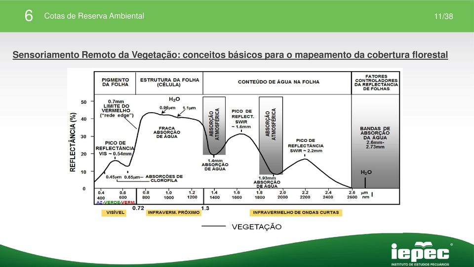 conceitos básicos para o