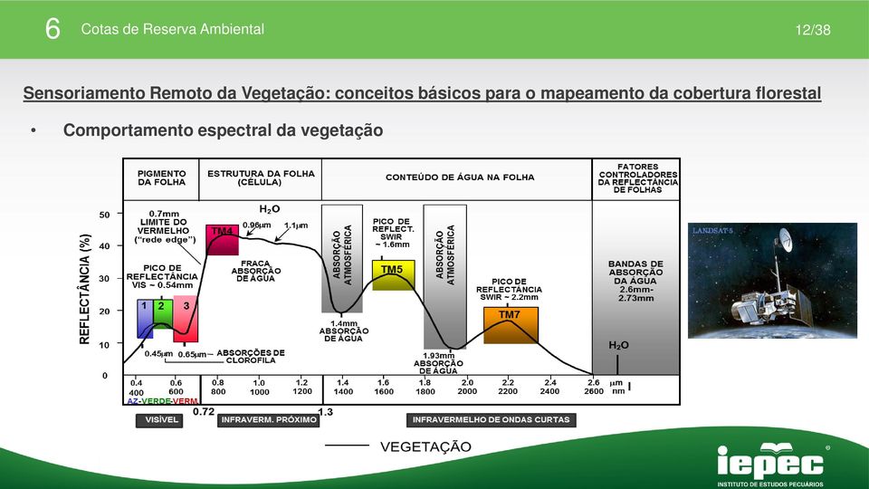 o mapeamento da cobertura