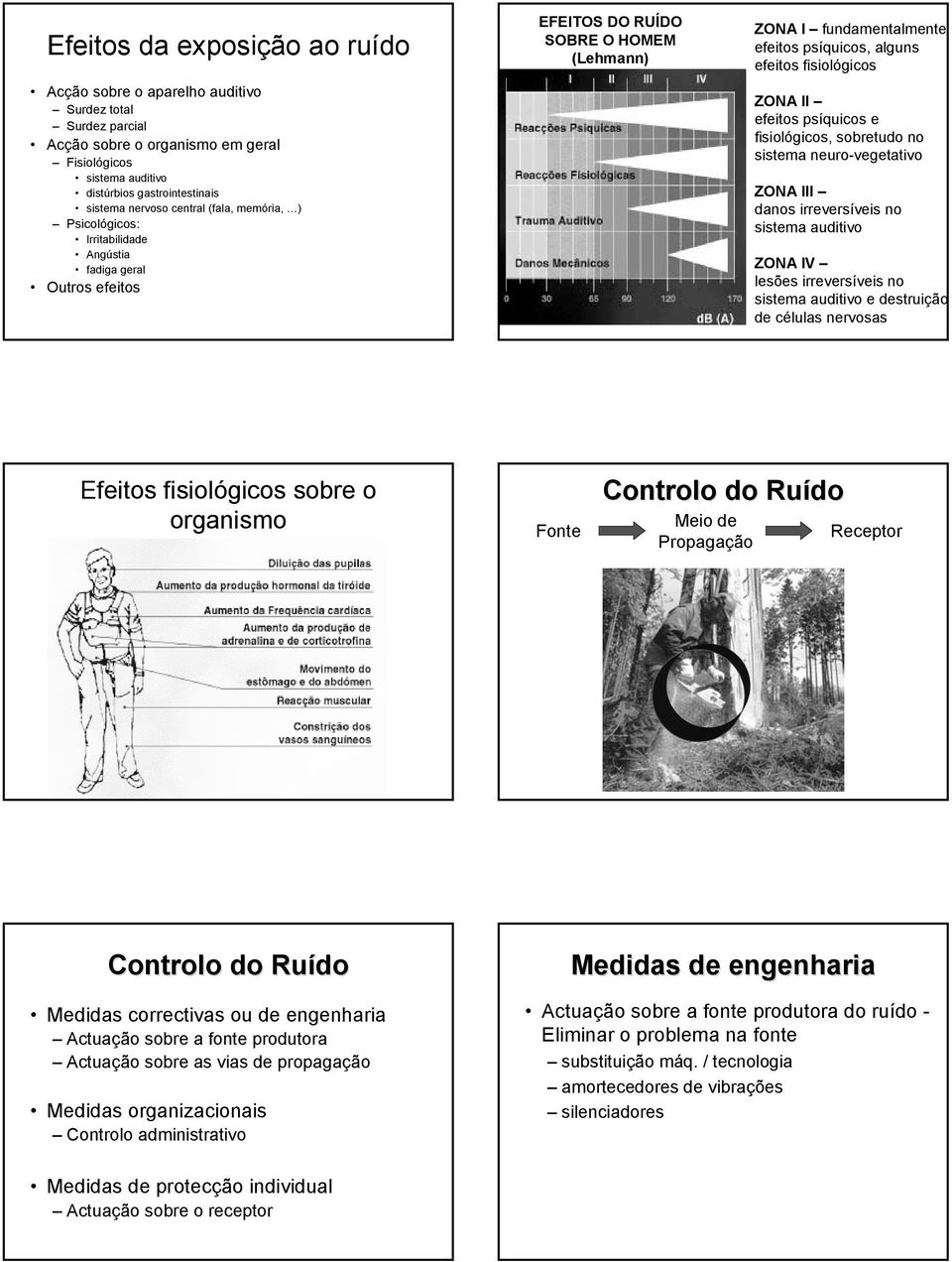 fisiológicos ZONA II efeitos psíquicos e fisiológicos, sobretudo no sistema neuro-vegetativo ZONA III danos irreversíveis no sistema auditivo ZONA IV lesões irreversíveis no sistema auditivo e