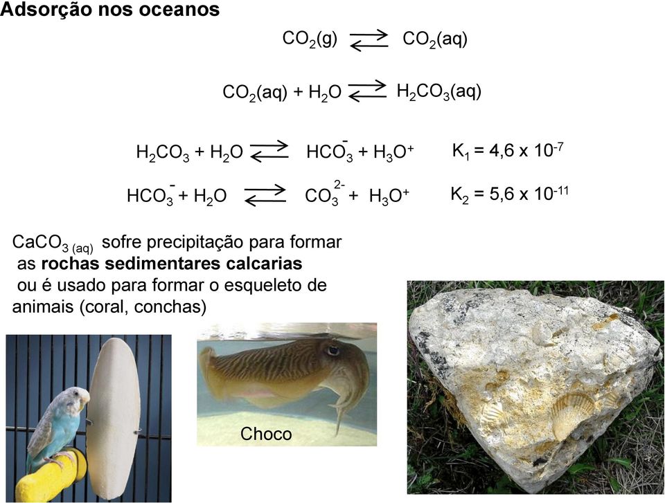 K 2 = 5,6 x 10-11 CaCO 3 (aq) sofre precipitação para formar as rochas