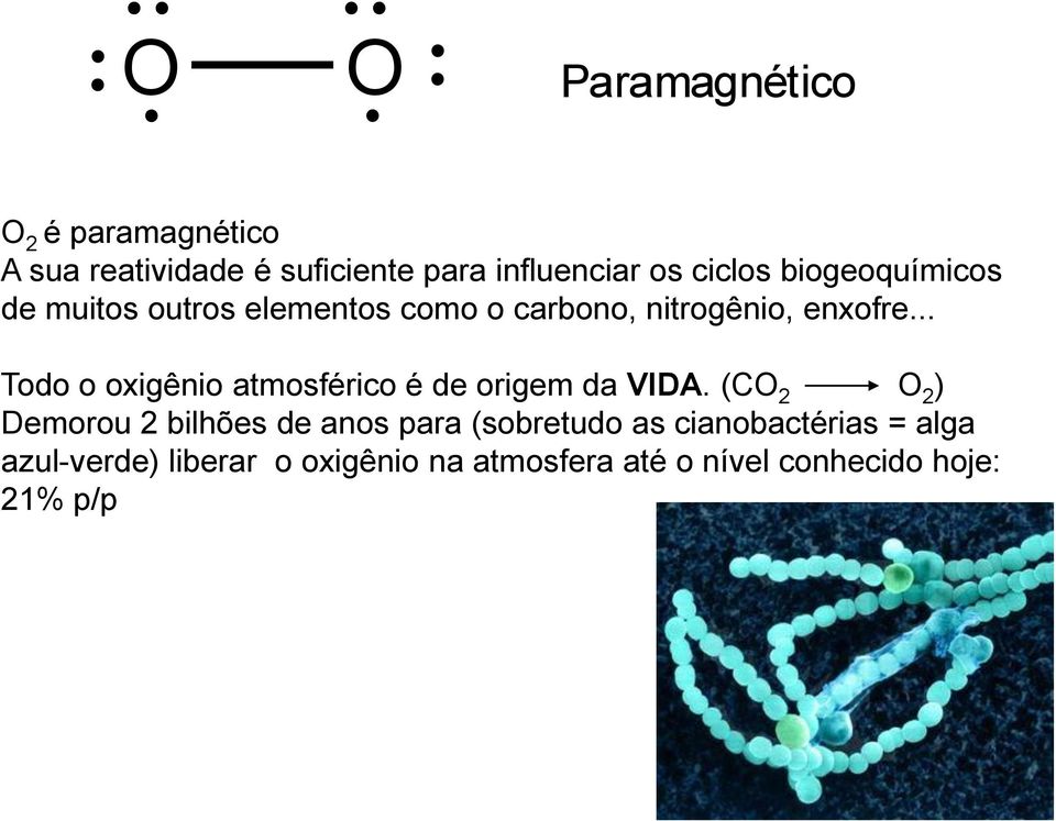 .. Todo o oxigênio atmosférico é de origem da VIDA.