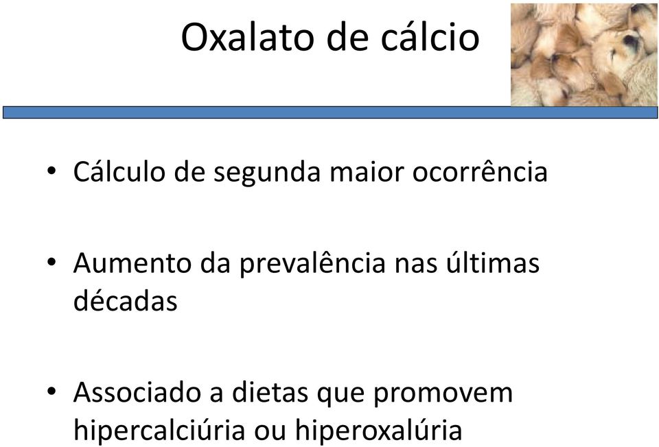 nas últimas décadas Associado a dietas