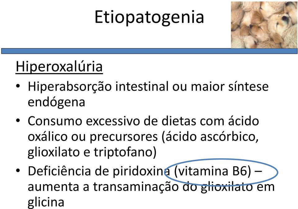 precursores (ácido ascórbico, glioxilato e triptofano) Deficiência